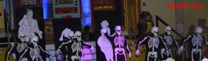 Pleißestepper_Michael_Bild_4
